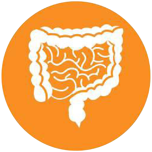 關(guān)注職場(chǎng)“腸”態(tài)，守護(hù)員工健康——上海格瑞特特邀消化內(nèi)科專家公益系列講座（4）(圖4)